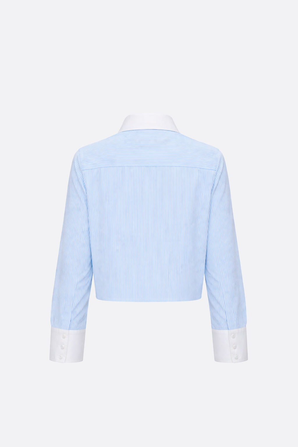 Camisa Raymicor