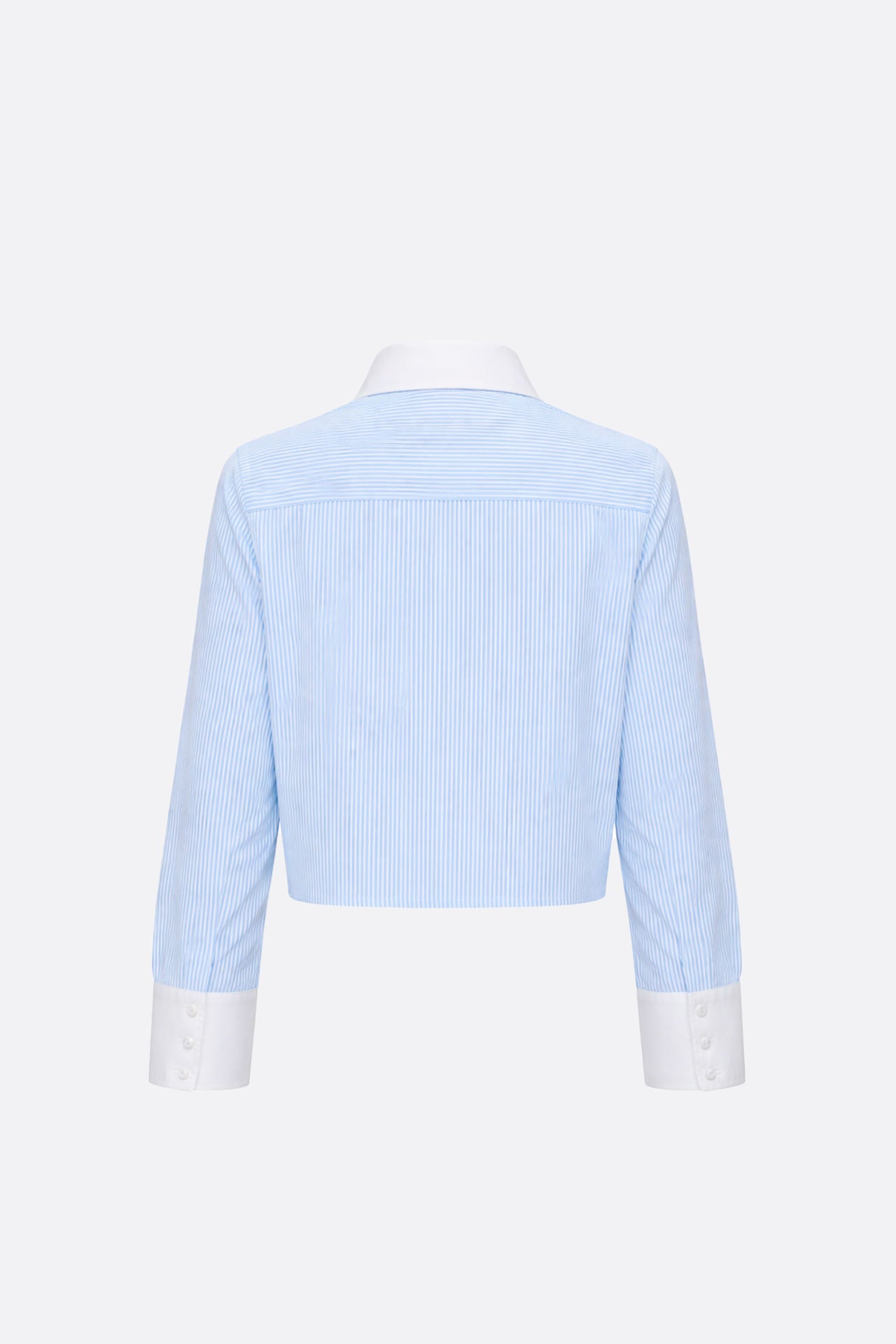 Camisa Raymicor