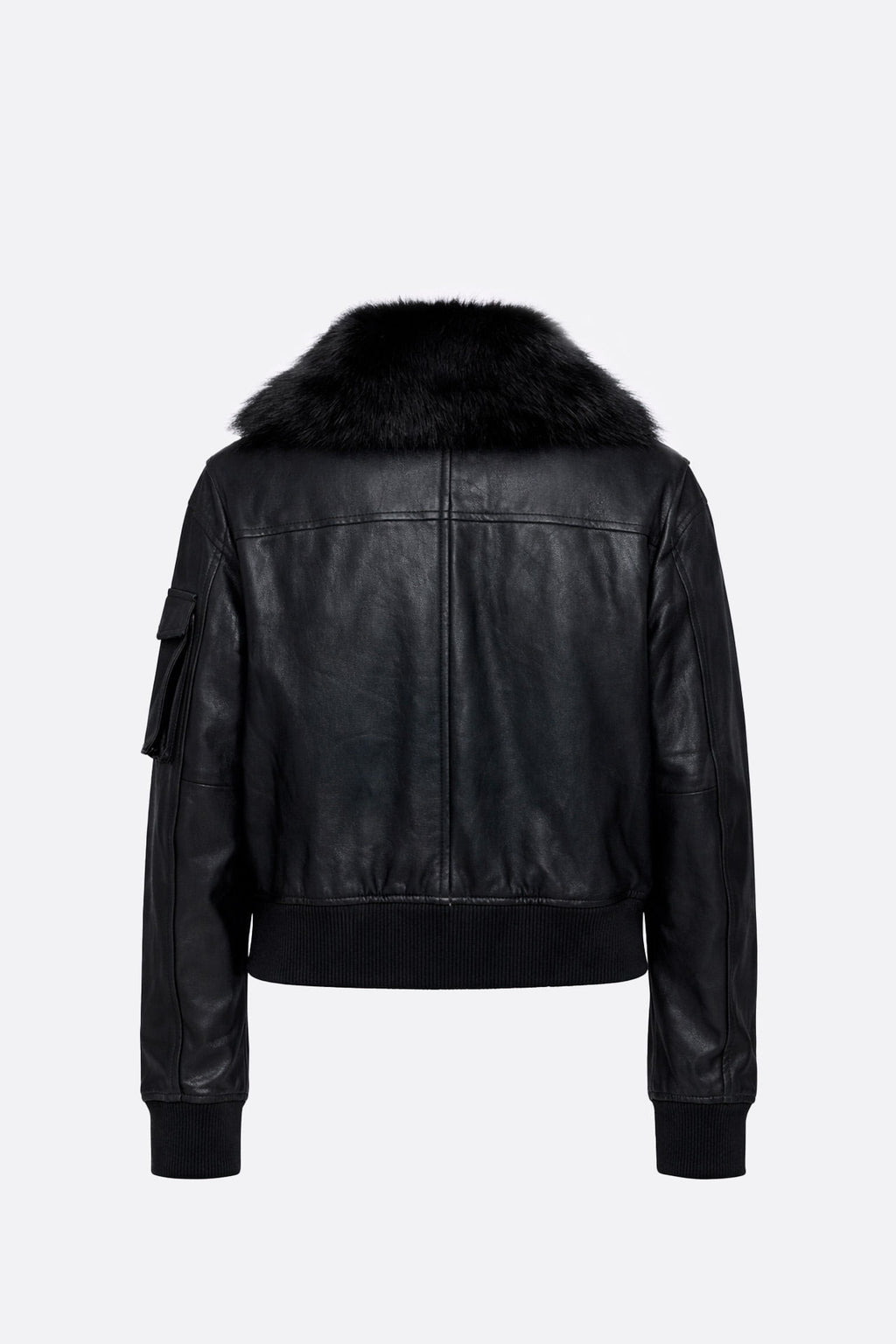 Campera Tolhuin